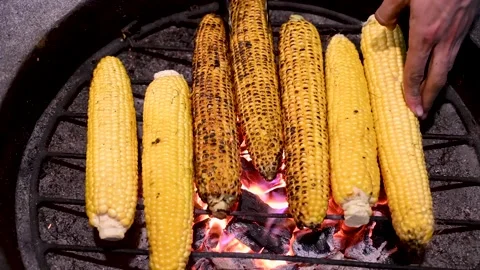 Grilled corn on the cob on the hot grill. Grilled and roasted Corn on barbecue Stock Footage 159127870