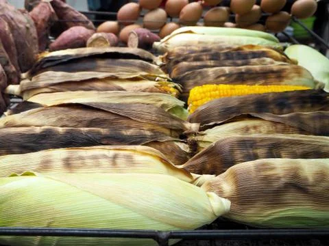 Grilled Corn on the Cob Stock Photos