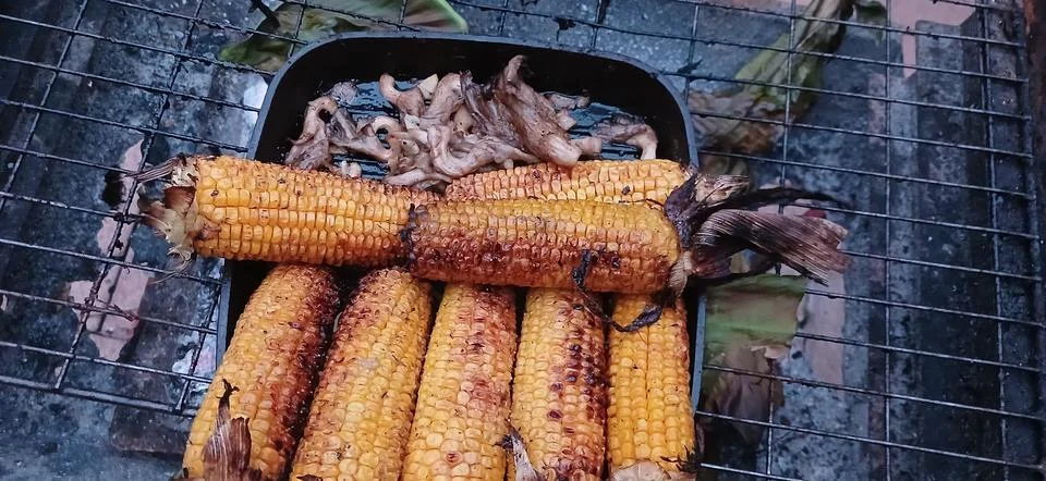 Grilled corn on the cob Stock Photos