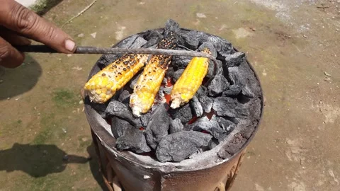 Grilled corn cobs on coal stove. Stock Footage 205585019