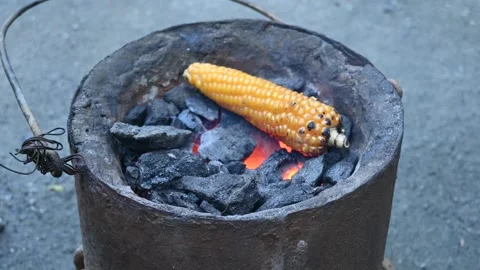 Grilled corn cobs on coal stove. Stock Footage 250325523