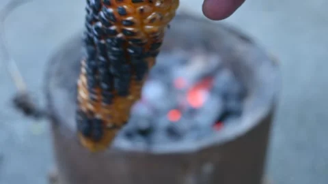 Grilled corn cobs on coal stove. Stock Footage 250966062