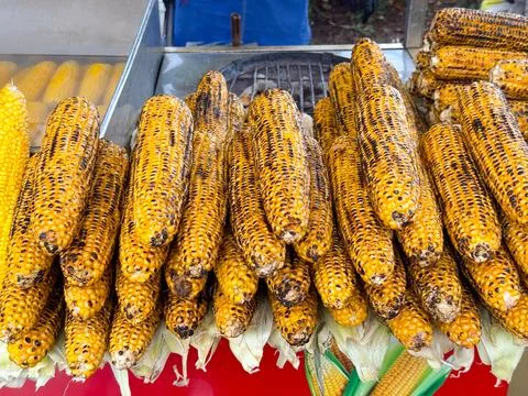 Grilled corn cobs stacked closely on a street food grill surface. Rustic co.. Stock Photos