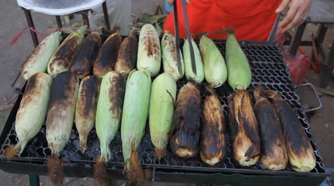 Grilled corn 스톡 동영상 34004055