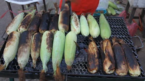 Grilled corn 스톡 동영상 34004728