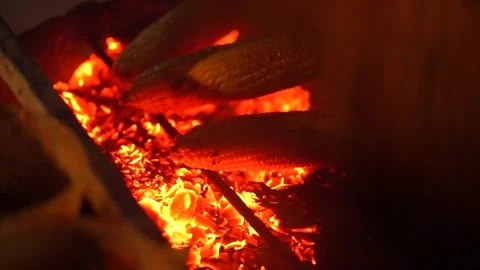 Grilled Corn Stock Footage 231482644