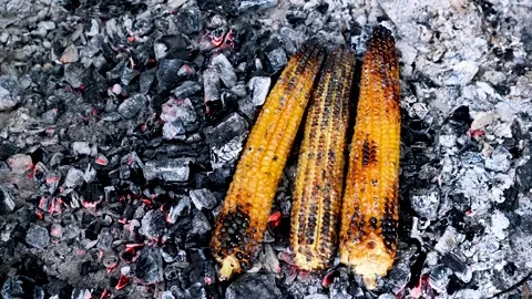 Grilled corn. Fresh organic corn cob on the fire. Stock Footage 248902915