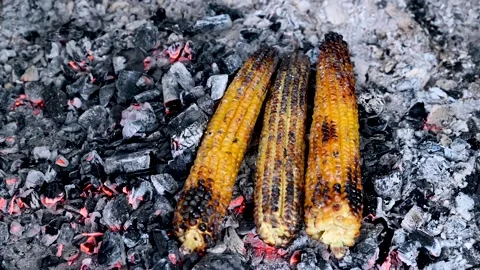 Grilled corn. Fresh organic corn on the fire. Stock Footage 248902963