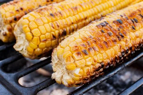 Grilled corn on the grill. Close-up. Macro Stock Photos