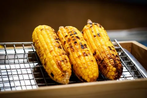 Grilled corn on the grill Stock Photos