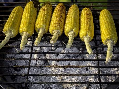 Grilled corn on the grill. Stock Photos