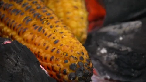 Grilled corn on the hot stove Stock Footage 73354816