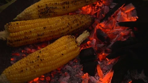 Grilled corn on the hot stove Stock Footage 73354980