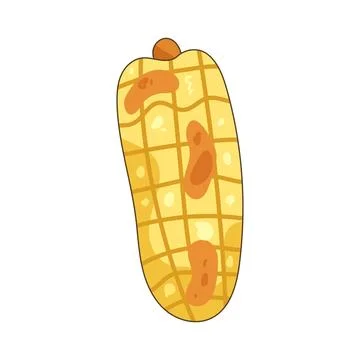 Grilled corn Stock Illustration