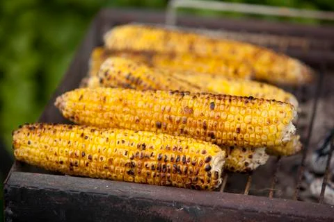 Grilled corn Foto stock