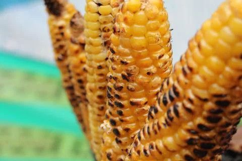 Grilled Corn Stock Photos