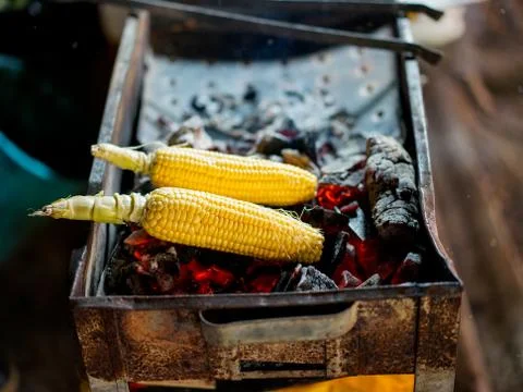 Grilled corn Foto stock