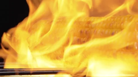 Grilled corn with spruce butter and fire Stock Footage 160606953