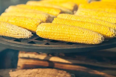 Grilled corn. Vegetable barbecue. Stock Photos