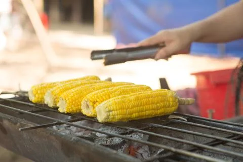 Grilled corn, vegetables grilled corn on the hot stove Stock Photos
