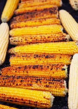 Grilled corn. Vegetables grilled corn on the hot stove. Stock Photos