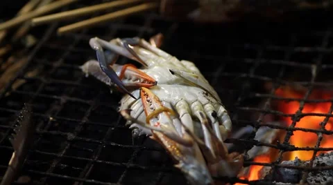 Grilled crab Stock Footage 56849653