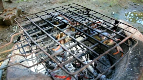 Grilled crab Stock Footage 79254210