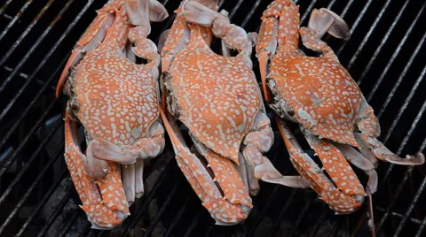 Grilled crab. HD Video stock 42195517
