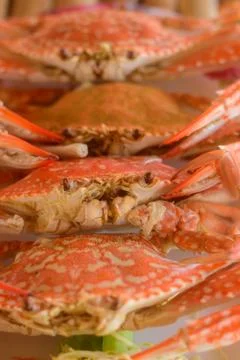 Grilled crab Stock Photos