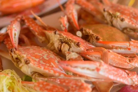 Grilled crab Stock Photos