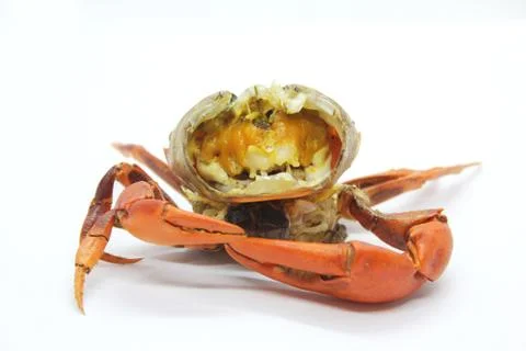Grilled crab Stock Photos