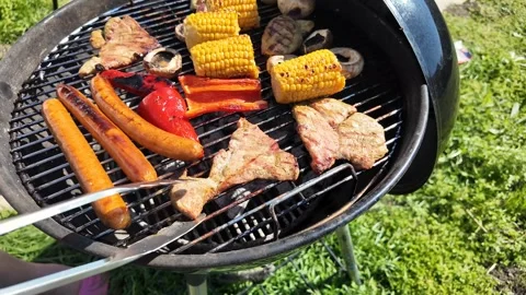 Grilled Delights for Summer Picnics Stock Footage 305274004