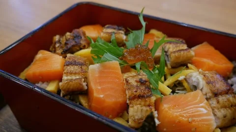 Grilled Eel and Fresh Salmon on rice set. Stock Footage 314307821