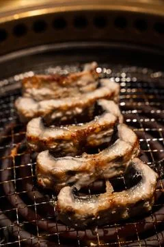Grilled Eel Stock Photos