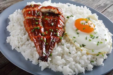 Grilled eel with rice and egg Stock Photos