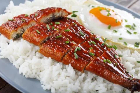 Grilled eel with rice and egg, close-up Stock Photos