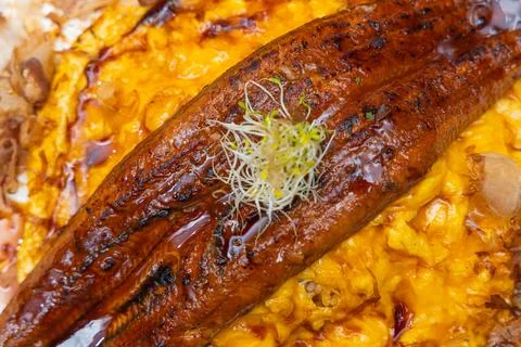 Grilled eel on scrambled eggs Stock Photos