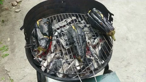 Grilled Eggplant Stock Footage 130517854