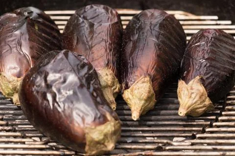 Grilled Eggplants Stock-Fotos