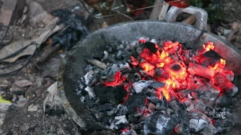 Grilled fish,  1 Video stock 269819995