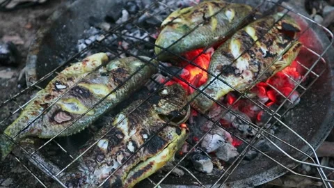 Grilled fish,  2 Video stock 269820038