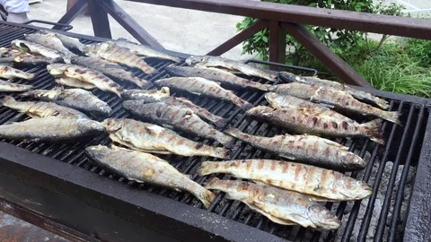 Grilled Fish Cooking Stock Footage 126723310