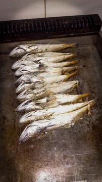 Grilled Fish Cooking in Kitchen 库存照片