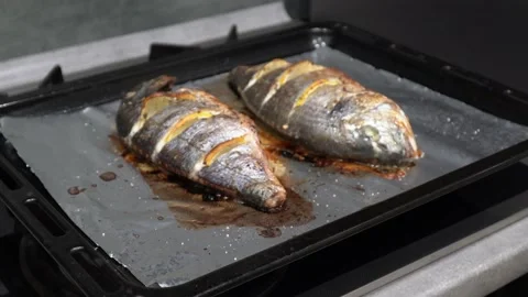 Grilled fish dorado with vegetables Video stock 232131445