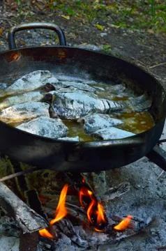 Grilled fish on the fire Stock Photos