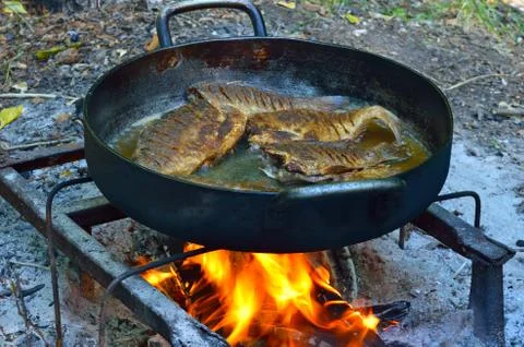 Grilled fish on the fire Stock Photos