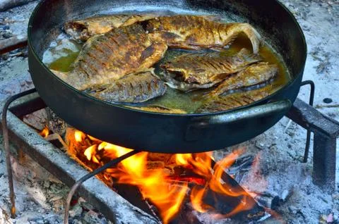 Grilled fish on the fire Stock Photos