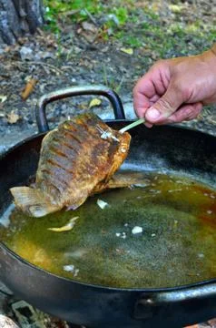 Grilled fish on the fire Stock Photos