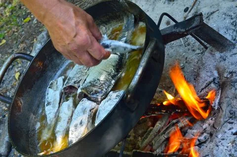 Grilled fish on the fire Stock Photos