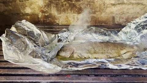 Grilled Fish in Foil on Open Fire, Outdoor Cooking Process Stock Footage 334134423
